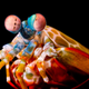 What big eyes to roll with too. Image: Michael Bok, University of Lund